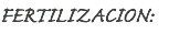 FERTILIZACION: